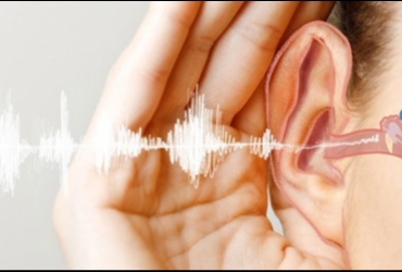 İŞİTME DESTEK EĞİTİMİ